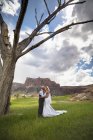 Un beso de novia y novio en el desierto; Grand Junction, Colorado , - foto de stock