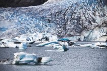 Glaciar Mendenhall se encuentra con el mar - foto de stock