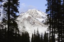 Montañas en cascada en el Parque Nacional Banff - foto de stock
