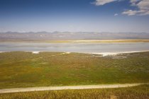 Carrizo plain and soda lake — Stock Photo