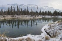 Parque Nacional Jasper - foto de stock