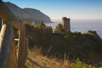 Torre Del Pino Watchtower — Stock Photo