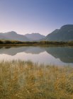 Muskinonge озеро води — стокове фото