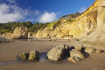 Rocks And Cliffs At Low Tide Along Coast — Stock Photo