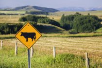 Panneau de route de bétail avec des champs et des collines — Photo de stock