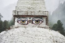 Olho de Buda em Chendebji Chorten — Fotografia de Stock
