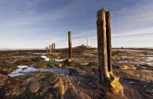 Wooden Posts At The Water's Edge — Stock Photo