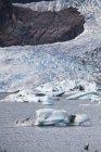 Mendenhall-Gletscher fließt ins Meer — Stockfoto