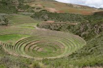 Terrazas agrícolas incas circulares - foto de stock