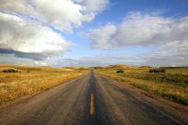Paved Road In Rangeland — Stock Photo