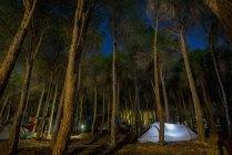 Палатка освещена в сумерках — стоковое фото