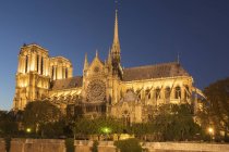 Notre-Dame por la noche - foto de stock