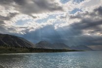 La luce del pomeriggio brilla — Foto stock