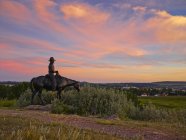 Estatua ecuestre en Cochrane Ranch Park - foto de stock