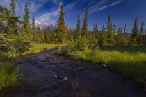 Creek che conduce lontano da Lac Beauvert — Foto stock