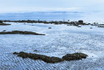 Ufer mit Felsen und Nebel — Stockfoto