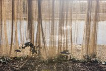 Rete da pesca appesa ad asciugare lungo il fiume Kobuk — Foto stock