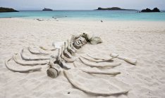 Plage de sable blanc avec eau turquoise — Photo de stock