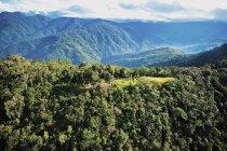 Тропа Кокода, провинция Оро — стоковое фото