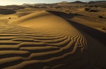 Red sand dunes — Stock Photo