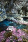 Les coraux doux décorent les grottes océaniques — Photo de stock