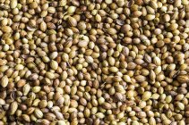Primer plano de semillas de cilantro montón - foto de stock