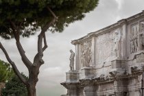 Arco de Constantino contra árvore — Fotografia de Stock