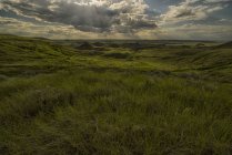 Трав'яна земля Національний парк — стокове фото