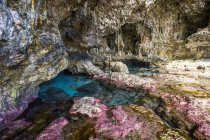 Corais suaves decoram as cavernas oceânicas — Fotografia de Stock