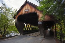 Mittlere Brücke zwischen Bäumen — Stockfoto