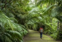 Vue arrière de la femme marchant dans le parc botanique Terra Nostra, Furnas, Sao Miguel, Açores, Portugal — Photo de stock