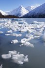 Pezzi di ghiaccio puntino Portage Lake — Foto stock