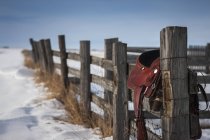 Saddle hanging on wooden fence — Stock Photo