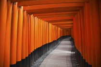 Puertas torii rojas; Kioto, Japón - foto de stock