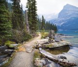 Trail with trees against calm lake water — Stock Photo