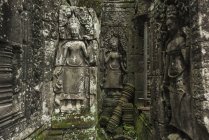 Rostos de Buda impressionantes — Fotografia de Stock
