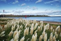 Залив Литлхейвен и маяк — стоковое фото
