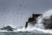 Wellen krachen gegen den schroffen Felsen — Stockfoto