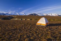 Tenda na tundra aberta — Fotografia de Stock