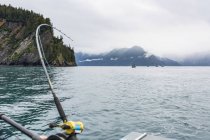 Canna da pesca si china oltre come colpi di ippoglosso — Foto stock