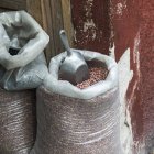Schaufel in Sack mit getrockneten Bohnen. im Freien — Stockfoto