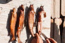 Persona con coltello inizia a tagliare il pesce affumicato intero, Yukon Territory, Canada — Foto stock