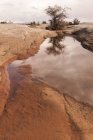 Высокая пустынная меза — стоковое фото
