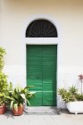 Старомодная зеленая дверь — стоковое фото