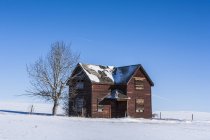 Casa de madeira abandonada no campo — Fotografia de Stock
