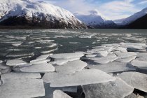 Eisbruch am Portage-See — Stockfoto