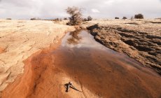 Висока пустеля після дощової бурі — стокове фото