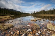 Ruhiger Teich mit Berg — Stockfoto