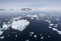Куски льда айсберга — стоковое фото