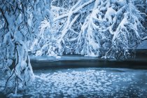 Frozen Thunderbird Creek — Stock Photo
